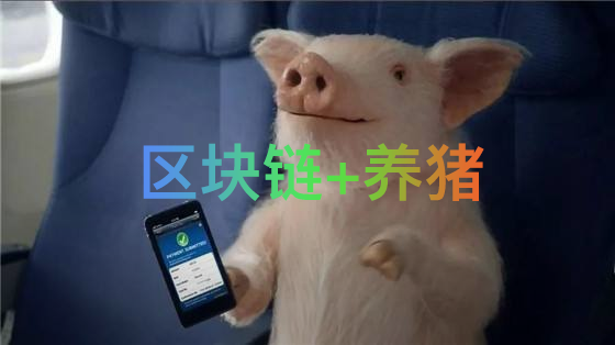 豬價(jià)暴漲非最大難題，區(qū)塊鏈賦能巧破行業(yè)隱患